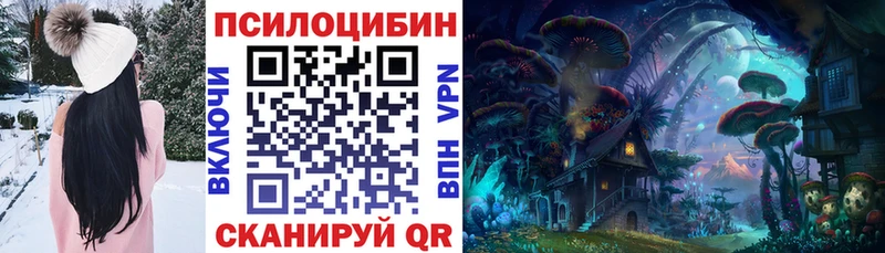 Купить закладки  Чекалин  Галлюциногенные грибы прущие грибы 