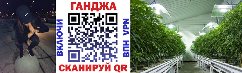 Купить  Чекалин  Канабис план 
